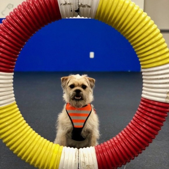 Meet your Posher, Lyn Richards Pawlowski - Picture 2 of 15